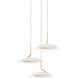 Royyo LED 12 inch Matte white with gold Pendant Ceiling Light